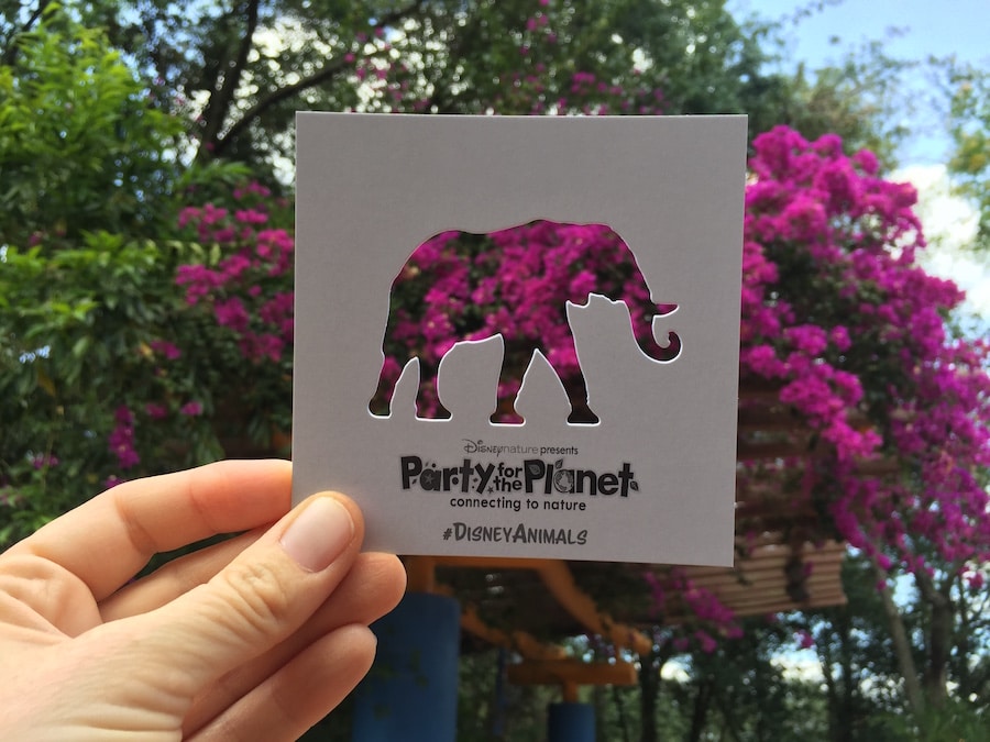 Disneynature Presents Party for the Planet at Disney’s Animal Kingdom