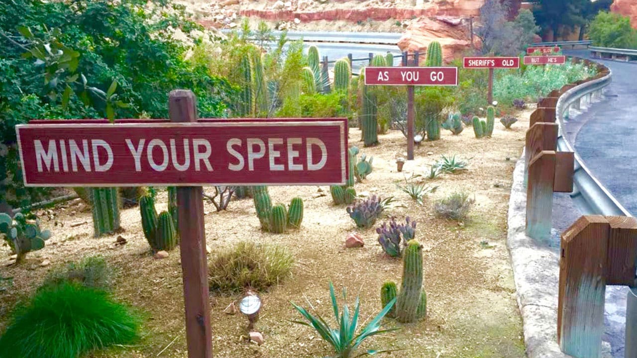 How to Spot Water-Savvy Plants at the Disneyland Resort