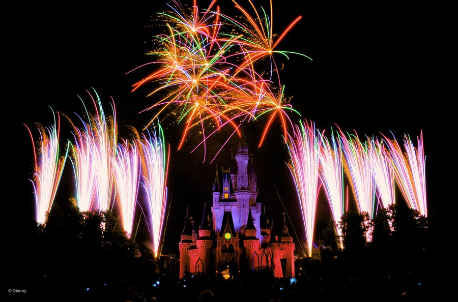 Wish Upon a Star and Let Your Heart Soar with This “Wishes” Photo Gallery