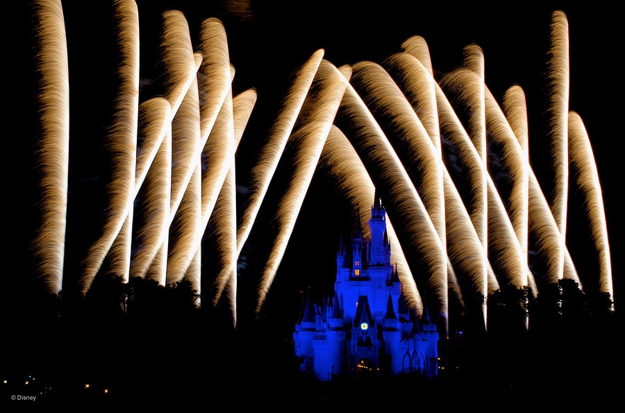 Wish Upon a Star and Let Your Heart Soar with This “Wishes” Photo Gallery
