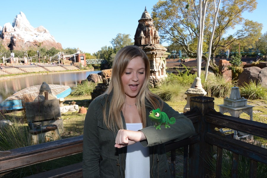 Exotic Magic Shots available at Disney’s Animal Kingdom Park