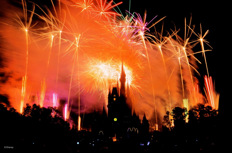 Wish Upon a Star and Let Your Heart Soar with This “Wishes” Photo Gallery