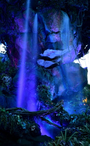 Best Tips, Tricks and Locations to Capture Stunning Photos of Pandora - The World of Avatar at Disney’s Animal Kingdom