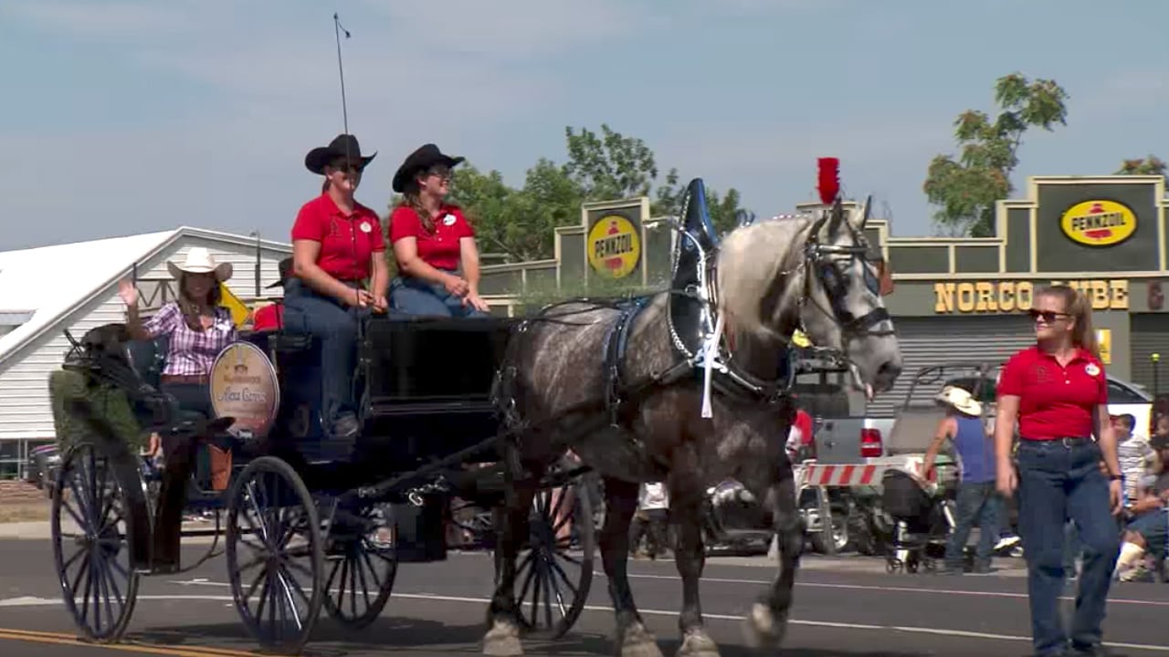 Disneyland Resort Horses Featured in Norco Labor Day Parade