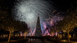 Illuminations: Reflections of Earth