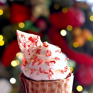 Celebrate National Cupcake Day at Walt Disney World Resort