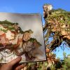 Sketches from the Park: Pandora – The World of Avatar