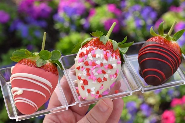 Hand-Dipped Chocolate Strawberries at Pecos Bill Tall Tale Inn and Café at Magic Kingdom Park