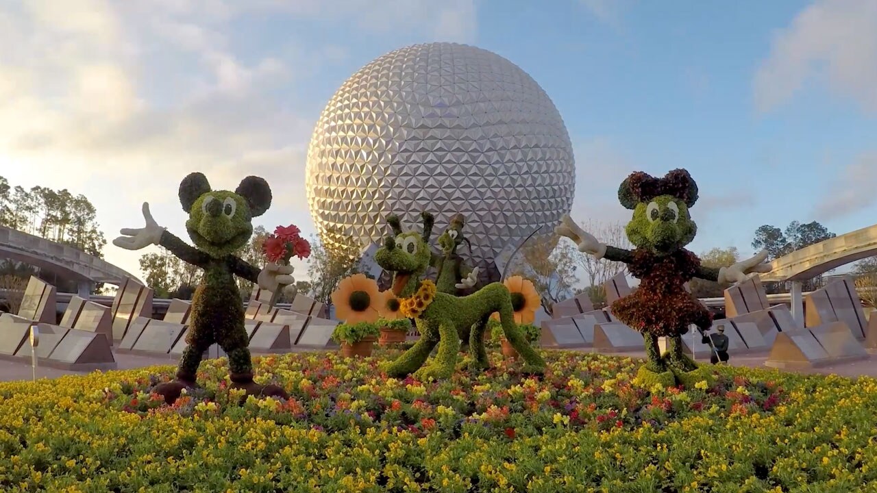 epcot back in blooms: the 25th epcot international flower & garden