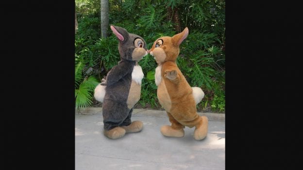 Thumper & Ms. Bunny