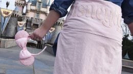 Millennial ears at Disney Parks