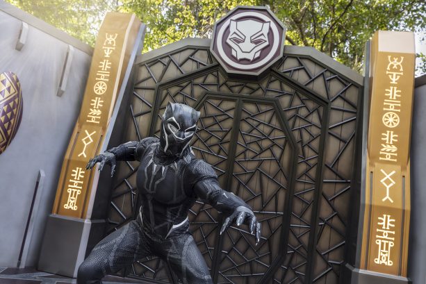 Black Panther Visits Hong Kong Disneyland