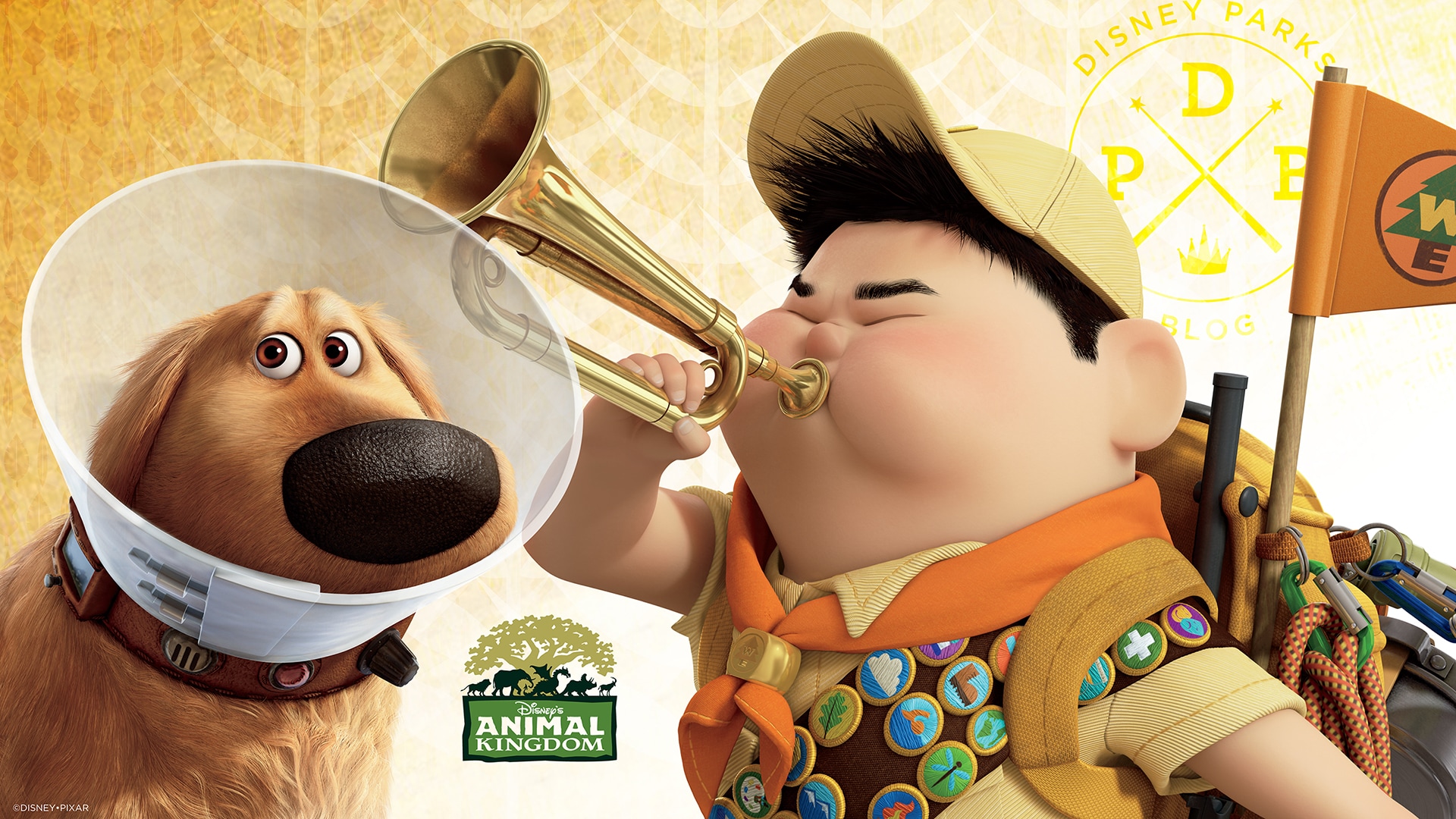 up a great bird adventure