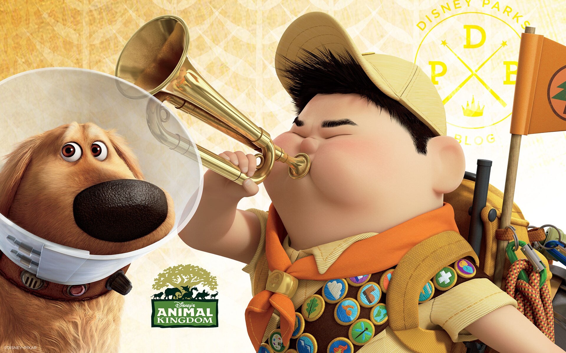 up a great bird adventure