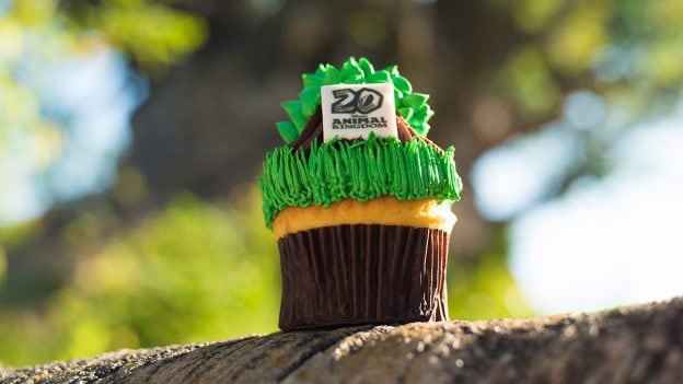 Tree of Life Cupcake at Disney’s Animal Kingdom Theme Park for Party for the Planet