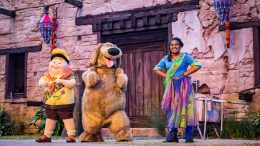 UP! A Great Bird Adventure