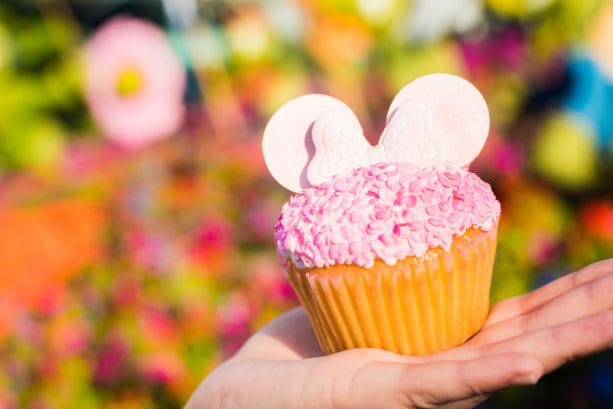 Millennial Pink Cupcake at Fountain View at Epcot