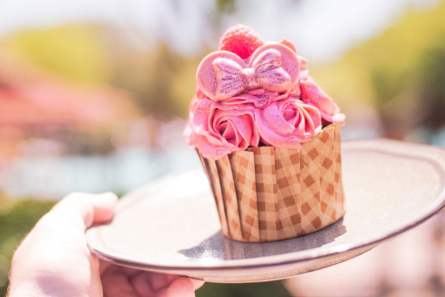 Millennial Pink Raspberry Chocolate Cupcake at The Mara at Disney’s Animal Kingdom Lodge