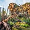 Pandora – The World of Avatar at Disney’s Animal Kingdom