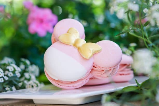 Millennial Pink Macaron at Disneyland Resort