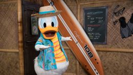 Donald Duck’s Seaside Breakfast