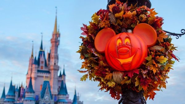 ‘Ultimate Disney Fall Into Magic Package’ Now Available for Booking ...