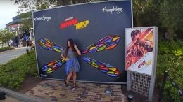“Ant Man and the Wasp”-inspired wall at Disney Springs