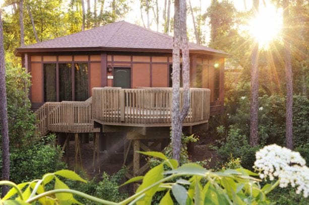 Treehouse Villas at Disney’s Saratoga Springs Resort & Spa
