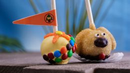 Dug and Russell Chocolate Cake Pops
