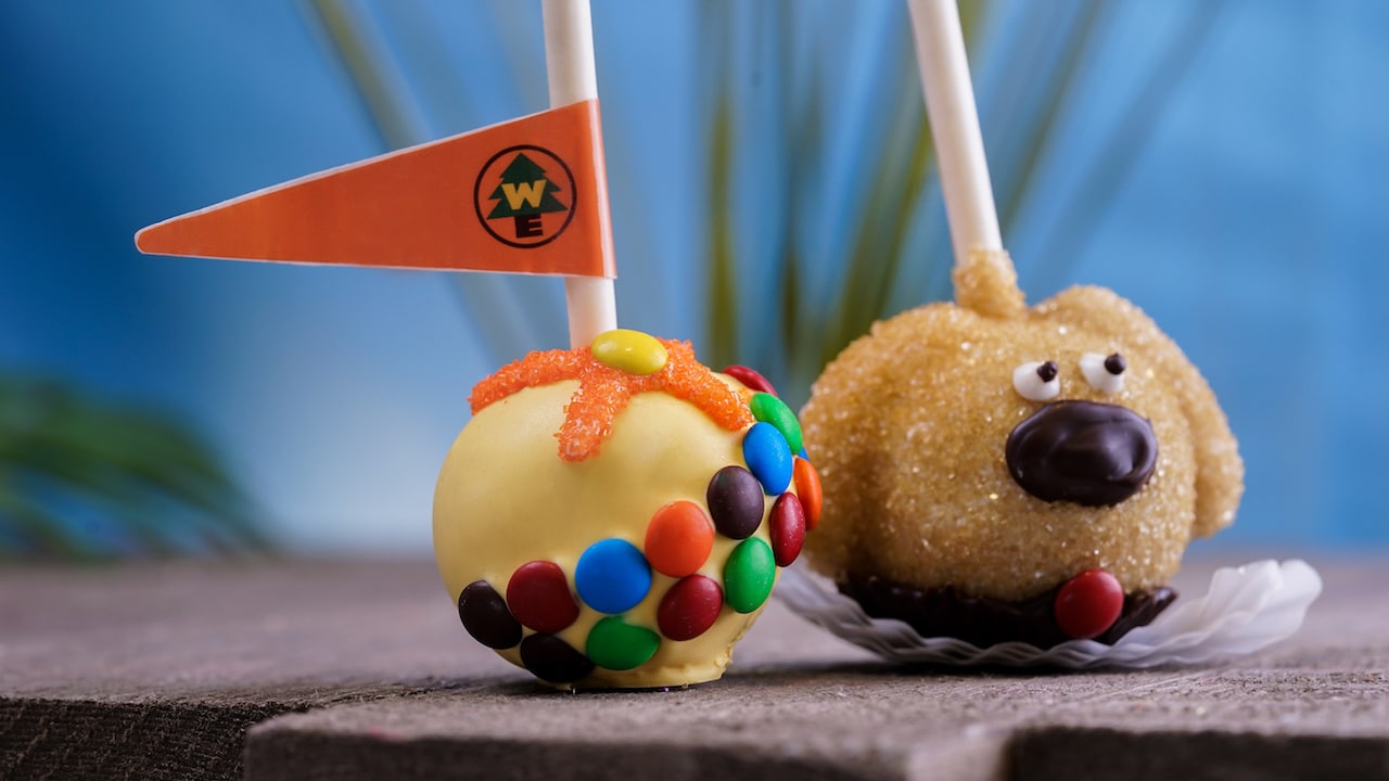 Dug and Russell Chocolate Cake Pops