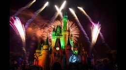 Happy HalloWishes Fireworks at Mickey's Not So Scary Halloween Party
