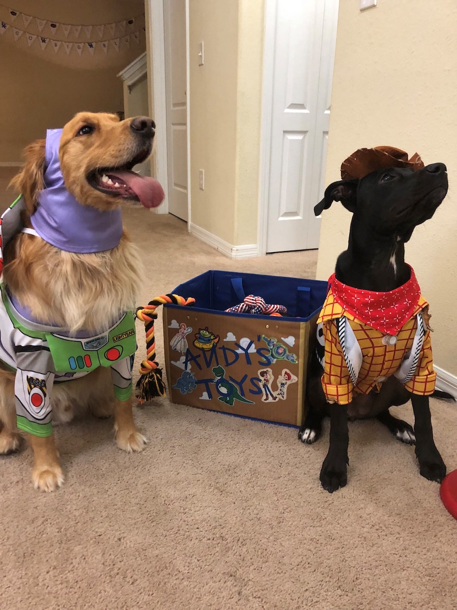 toy story halloween costumes for dogs
