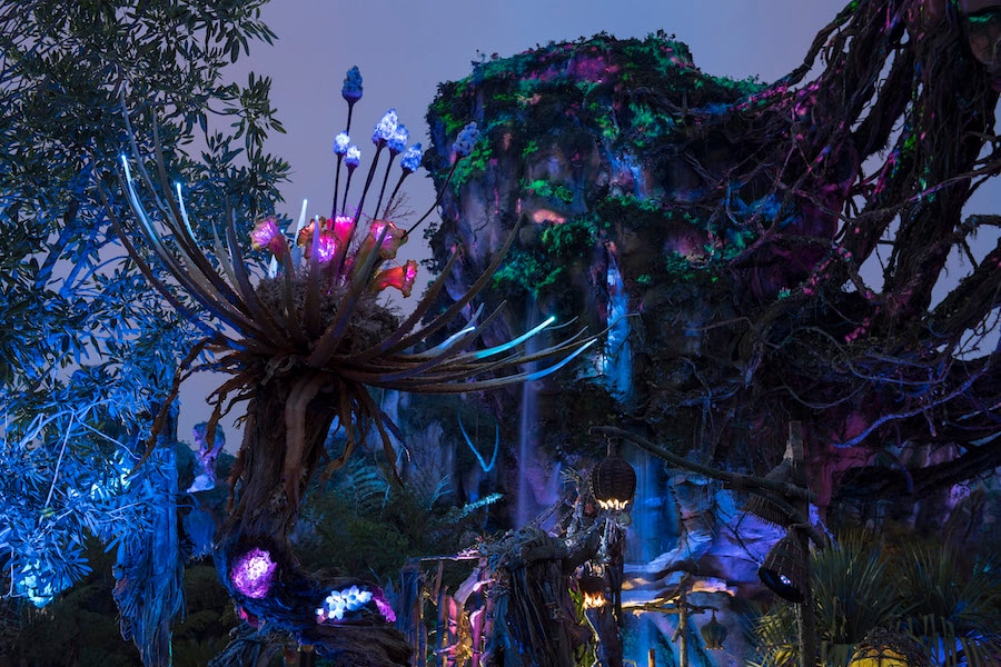 Pandora - The World of Avatar at Disney’s Animal Kingdom