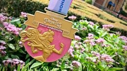 2019 Disney Princess Half Marathon Medal