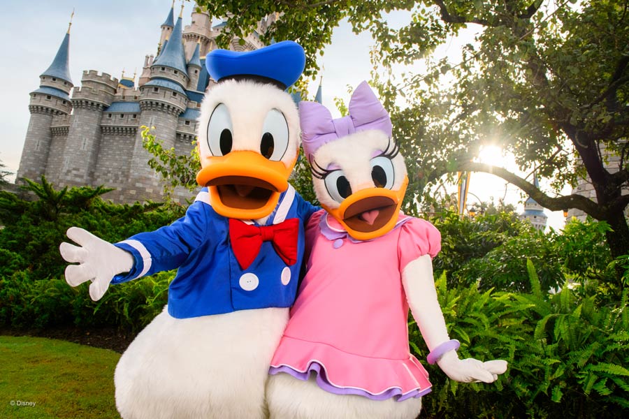 Donald and Daisy Duck at Magic Kingdom Park