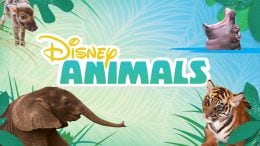 DisneyNOW App Features New Disney Animals Videos