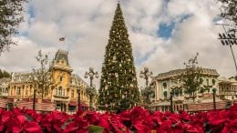 Christmas Tree at Disneyland Park