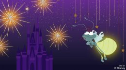 Ray from “Princess and the Frog’ Delights at Nighttime Entertainment