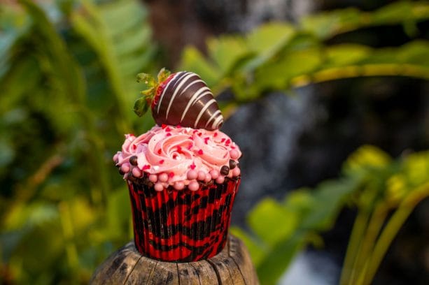 Valentine’s Day Cupcake at Disney’s Animal Kingdom Theme Park