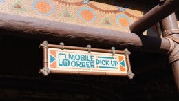 Mobile Ordering at Disney's Animal Kingdom