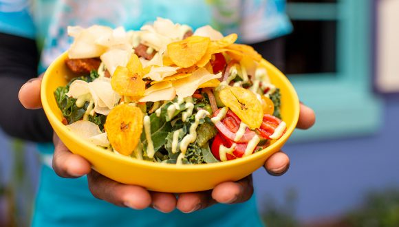 Foodie Guide to Food Bowls at Disney Parks