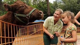 Rafiki’s Planet Watch at Disney's Animal Kingdom