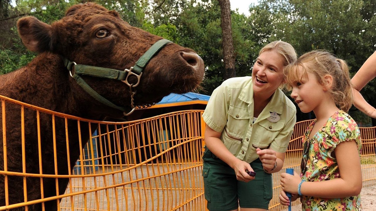 Rafiki's Planet Watch Reopens this Summer at Disney's Animal Kingdom |  Disney Parks Blog