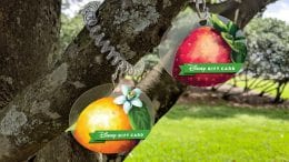 2019 Epcot International Flower & Garden Festival Disney Gift Card