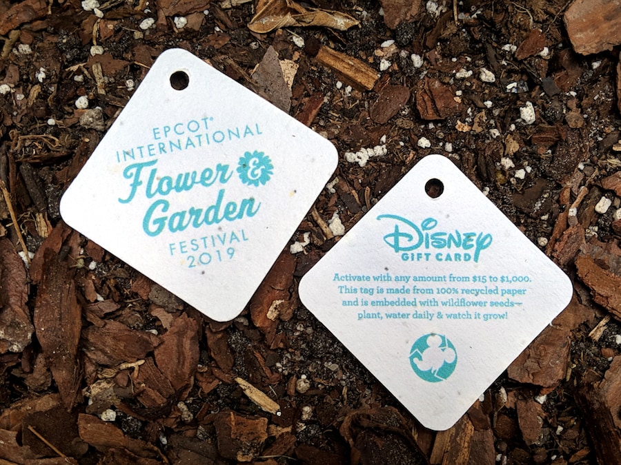 Check Out the Gift Cards for Epcot International Flower