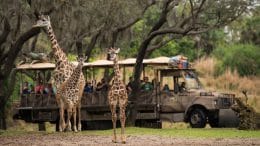 Wildlife Wednesday: Jabari the Giraffe Calf Joins the Herd at Disney’s Animal Kingdom