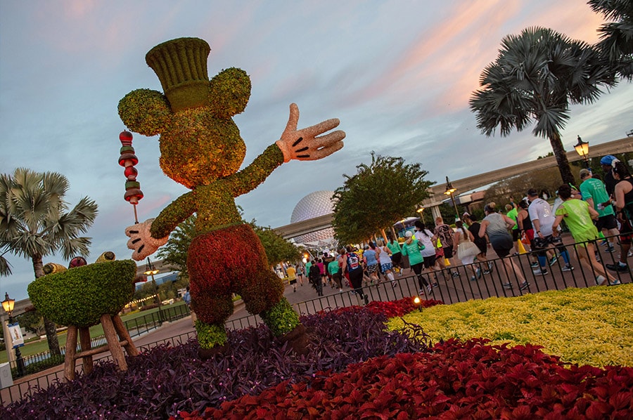 Disney Wine & Dine Half Marathon participants running past a Mickey topiary at Epcot