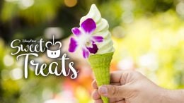 Disney Parks Sweet Treats: April 2019