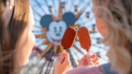 Vanilla Caramel Pizzell Bar and Chocolate Dark Chocolate Bar from the Disney California Adventure Food & Wine Festival