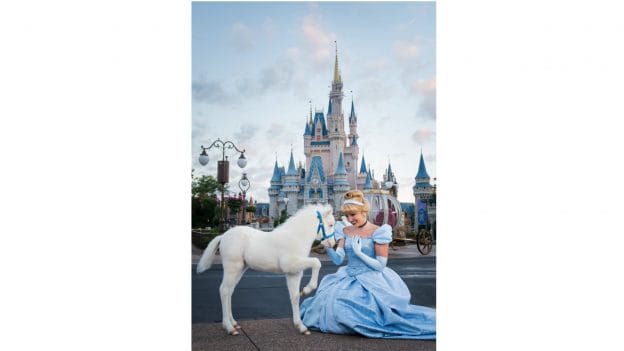 Disney’s Newest ‘Cinderella Pony’ at Walt Disney World Resort